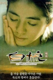 Intimates 1997 one on netflix