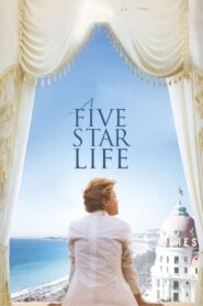 A Five Star Life 2013 one on netflix
