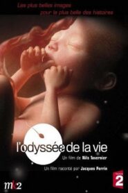 L’odyssée de la vie 2006 one on netflix