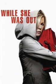 While She Was Out 2008 one on netflix