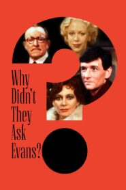 Why Didn’t They Ask Evans? 1980 one on netflix