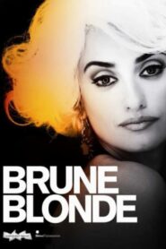 Brunes et Blondes 2010 one on netflix