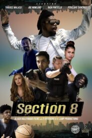 Section 8 2022 one on netflix