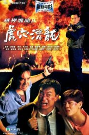 The Undercover 1992 one on netflix