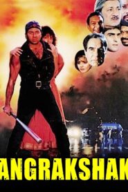 Angrakshak 1995 one on netflix