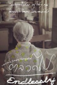 Endlessly 2013 one on netflix