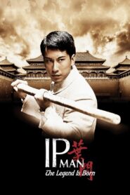 The Legend Is Born: Ip Man 2010 one on netflix