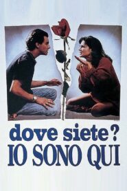 Where Are You? I’m Here 1993 one on netflix