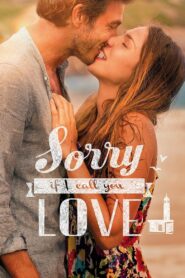 Sorry If I Call You Love 2014 one on netflix