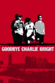 Goodbye Charlie Bright 2001 one on netflix