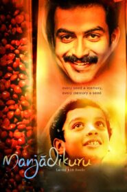 Manjadikuru 2008 one on netflix