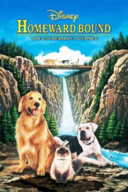 Homeward Bound: The Incredible Journey 1993 one on netflix