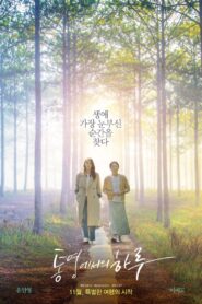 A Day in Tongyeong 2022 one on netflix