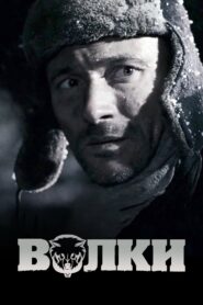 Wolves 2009 one on netflix