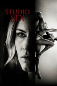 Annika Bengtzon: Crime Reporter – Studio Sex 2012 one on netflix