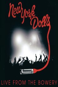 New York Dolls: Live From The Bowery 2011 one on netflix