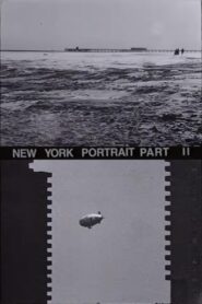 New York Portrait, Chapter II 1981 one on netflix