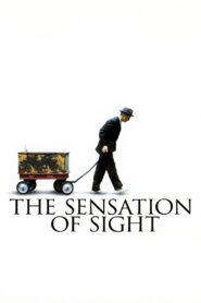 The Sensation of Sight 2006 one on netflix