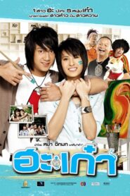 Puppy Love 2008 one on netflix
