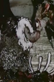 Czas sępa 1987 one on netflix
