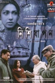 Nishijapon 2005 one on netflix