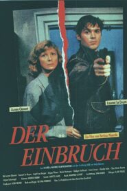 The Break-In 1991 one on netflix