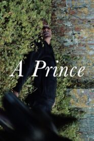 A Prince 2023 one on netflix