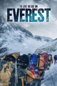 To Live or Die on Everest 2020 one on netflix