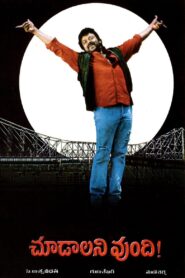 Choodalani Vundi 1998 one on netflix