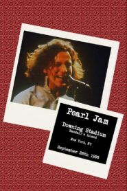 Pearl Jam: Downing Stadium, NY 1996 1996 one on netflix