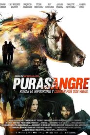 Thoroughbred 2016 one on netflix