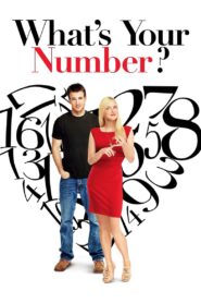 What’s Your Number? 2011 one on netflix