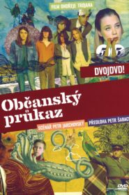 Identity Card 2010 one on netflix