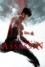 Legendary Assassin 2008 one on netflix