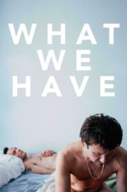 What We Have 2014 one on netflix