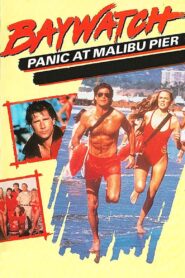 Baywatch: Panic at Malibu Pier 1989 one on netflix