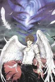 Angel Sanctuary 2001 one on netflix