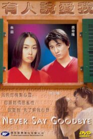 Never Say Goodbye 2001 one on netflix