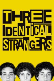 Three Identical Strangers 2018 one on netflix