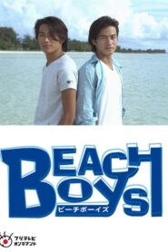 Beach Boys Special 1998 one on netflix