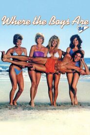Where the Boys Are 1984 one on netflix