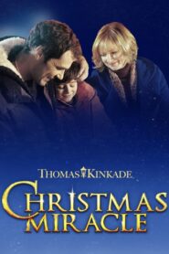 Christmas Miracle 2012 one on netflix