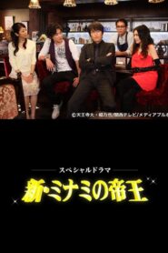 The King of Minami Returns 2010 one on netflix