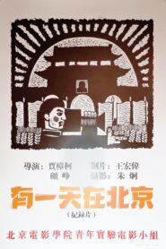 One Day in Beijing 1994 one on netflix