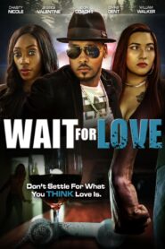 Wait for Love 2021 one on netflix