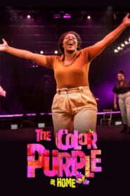 The Color Purple at Home 2021 one on netflix