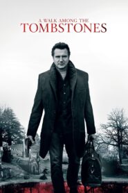A Walk Among the Tombstones 2014 one on netflix