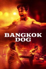 Bangkok Dog 2024 one on netflix