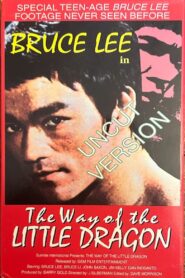 The Way of the Little Dragon 1997 one on netflix