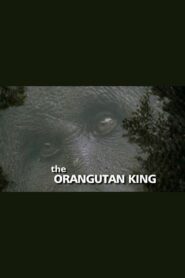 The Orangutan King 2005 one on netflix